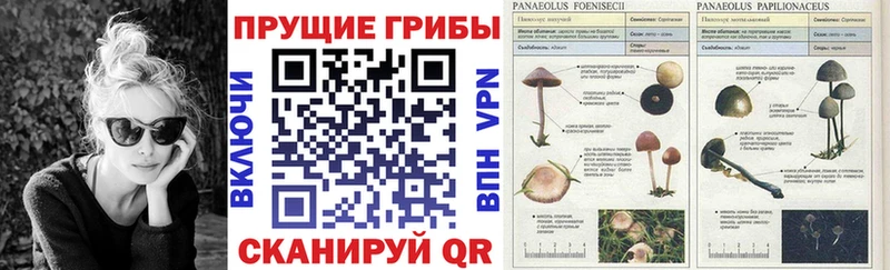 Галлюциногенные грибы GOLDEN TEACHER  Тюкалинск 